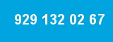 929 132 02 67